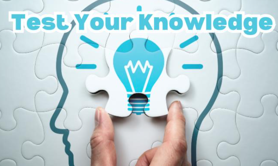 Job Knowledge Quiz - Nov'25 ICR01